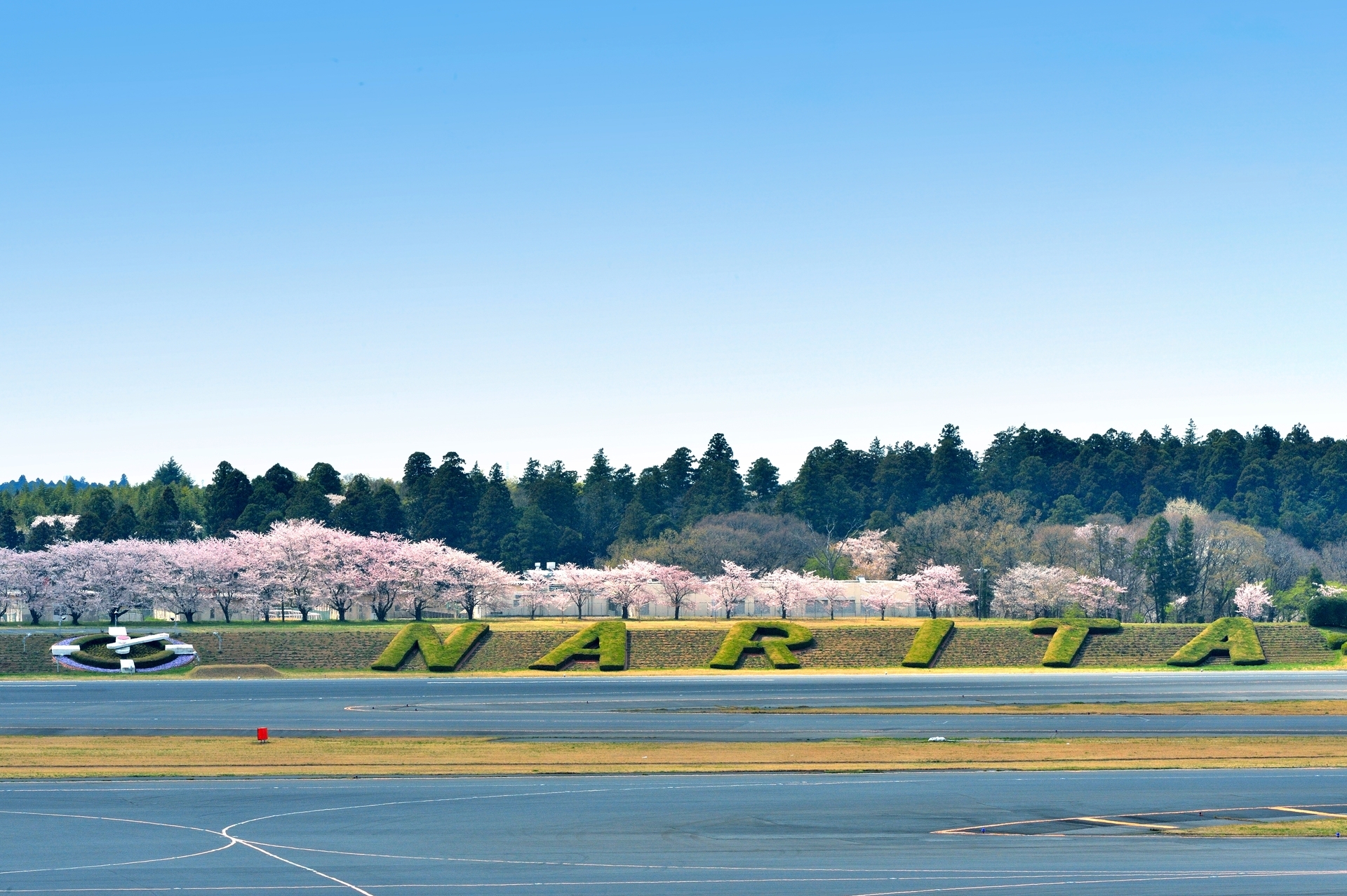 成田空港内 隠れたお花見スポット 三栄メンテナンス株式会社ブログ